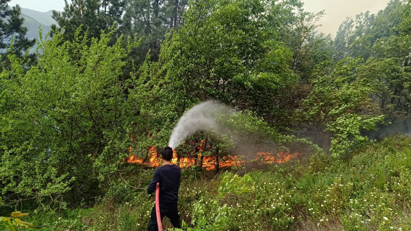 Kastamonu’da orman yangını: Ekiplerin müdahalesi sürüyor
