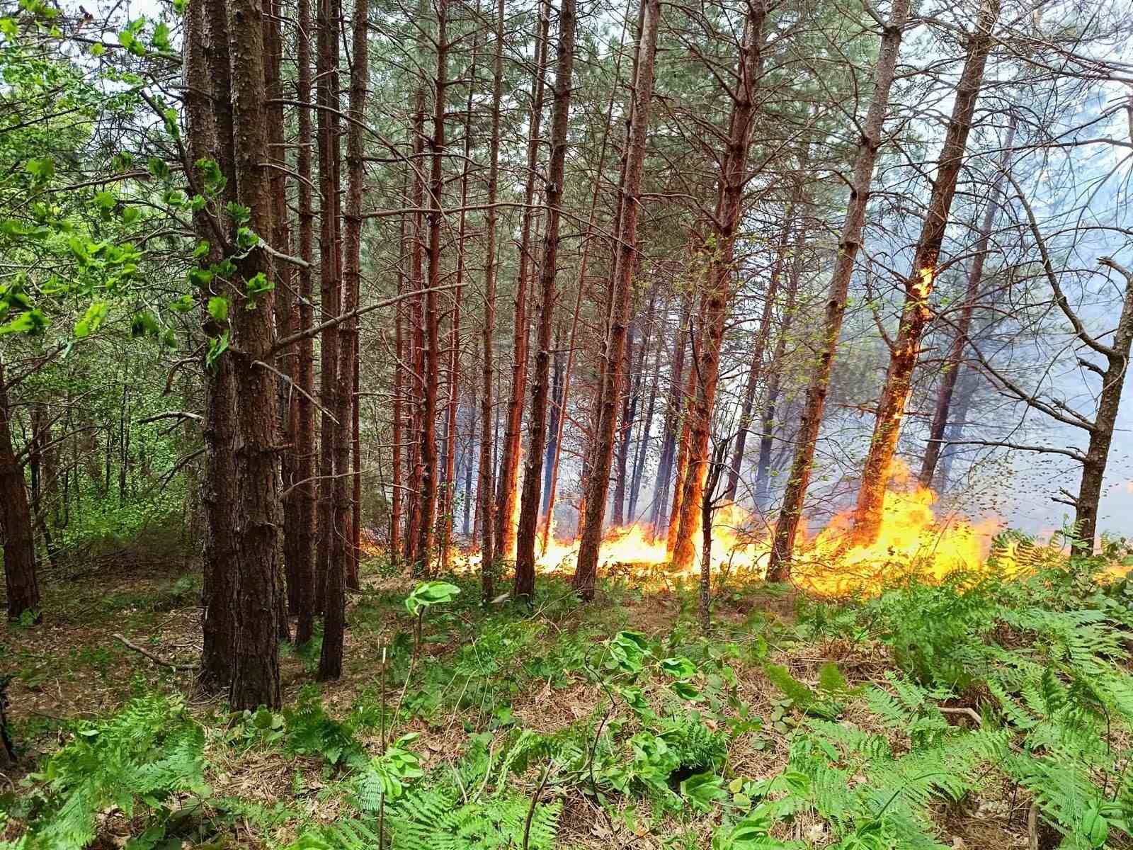 Kastamonu’da orman yangını: Ekiplerin müdahalesi sürüyor
