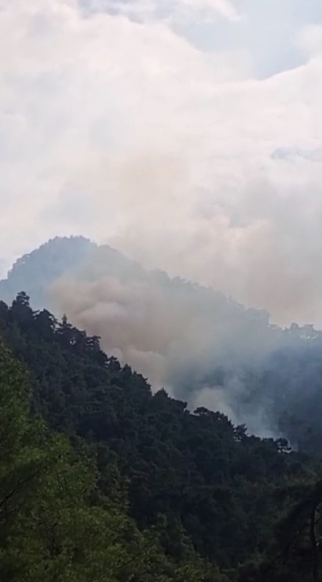 Kemer’deki orman yangını kontrol altına alındı