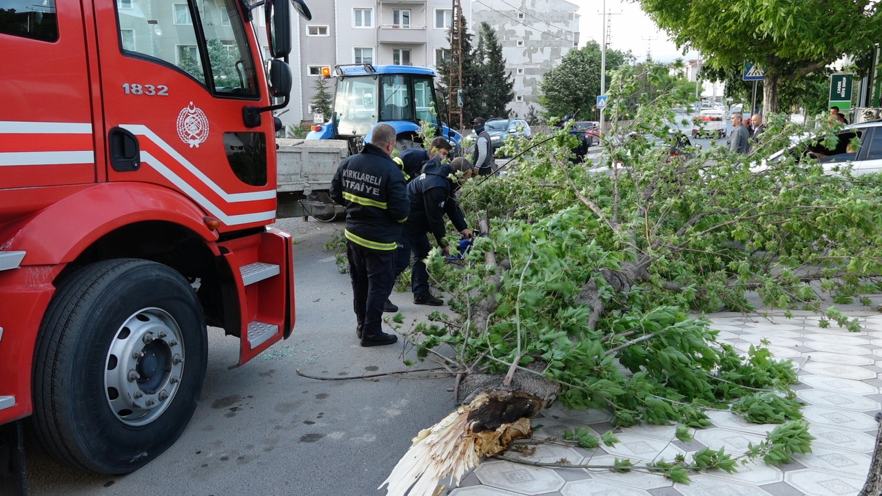 Kırklareli’nde şiddetli rüzgar ağacı devirdi: 1 araç hasar gördü