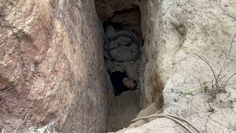 Mağarada define faciası… 3 kişinin cansız bedenine ulaşıldı