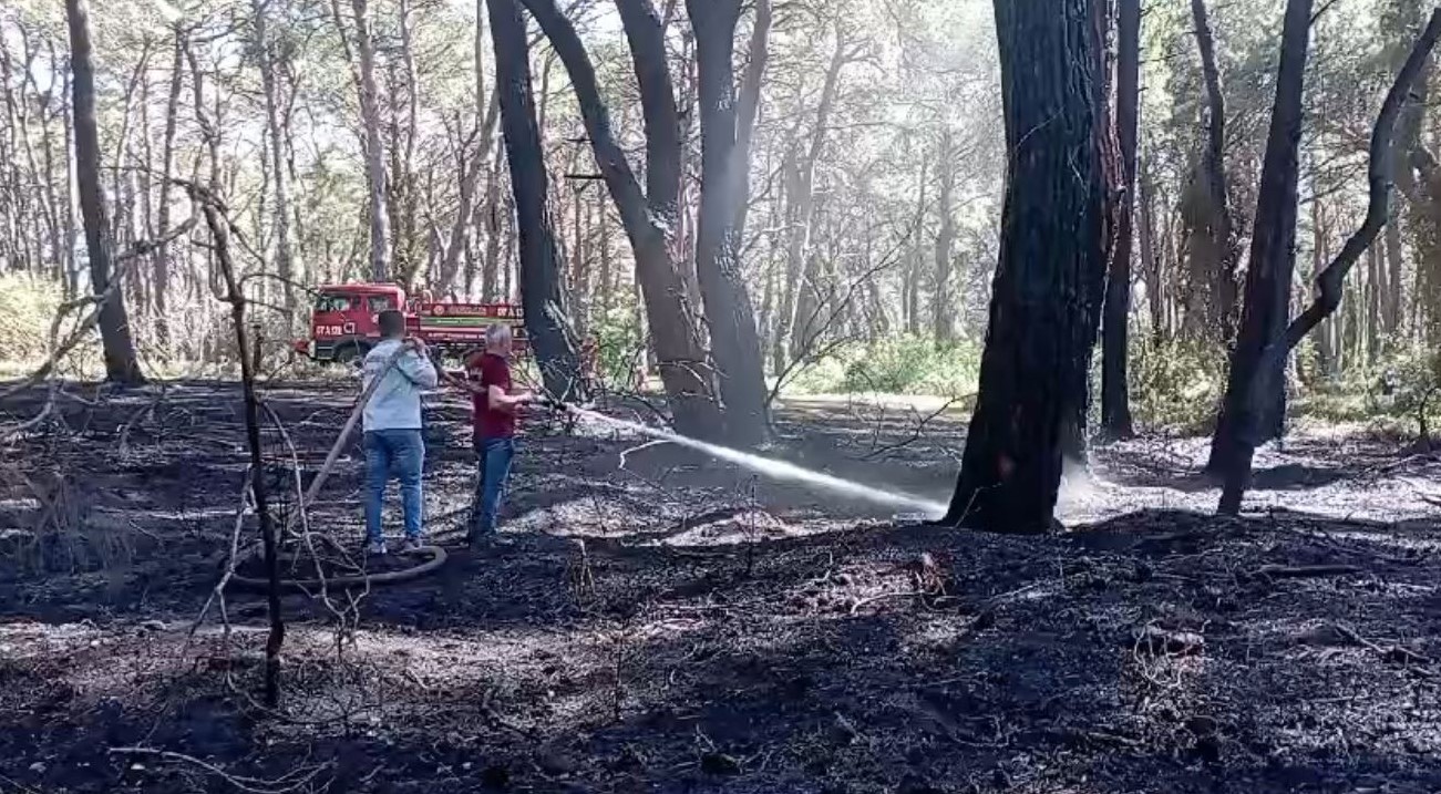 Manavgat’ta çamlık alanda yangın
