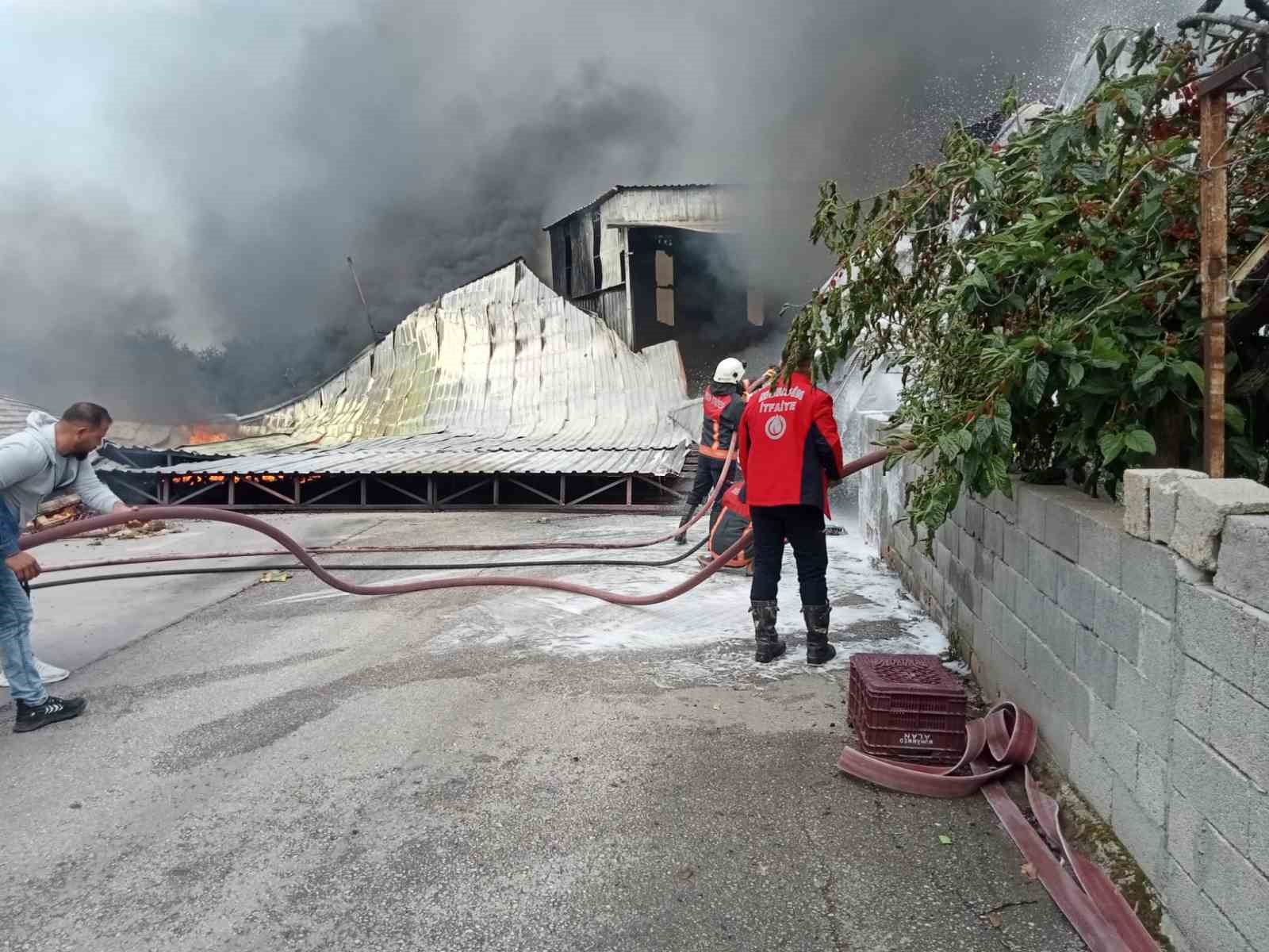 Mersin’de narenciye paketleme tesisinde yangın
