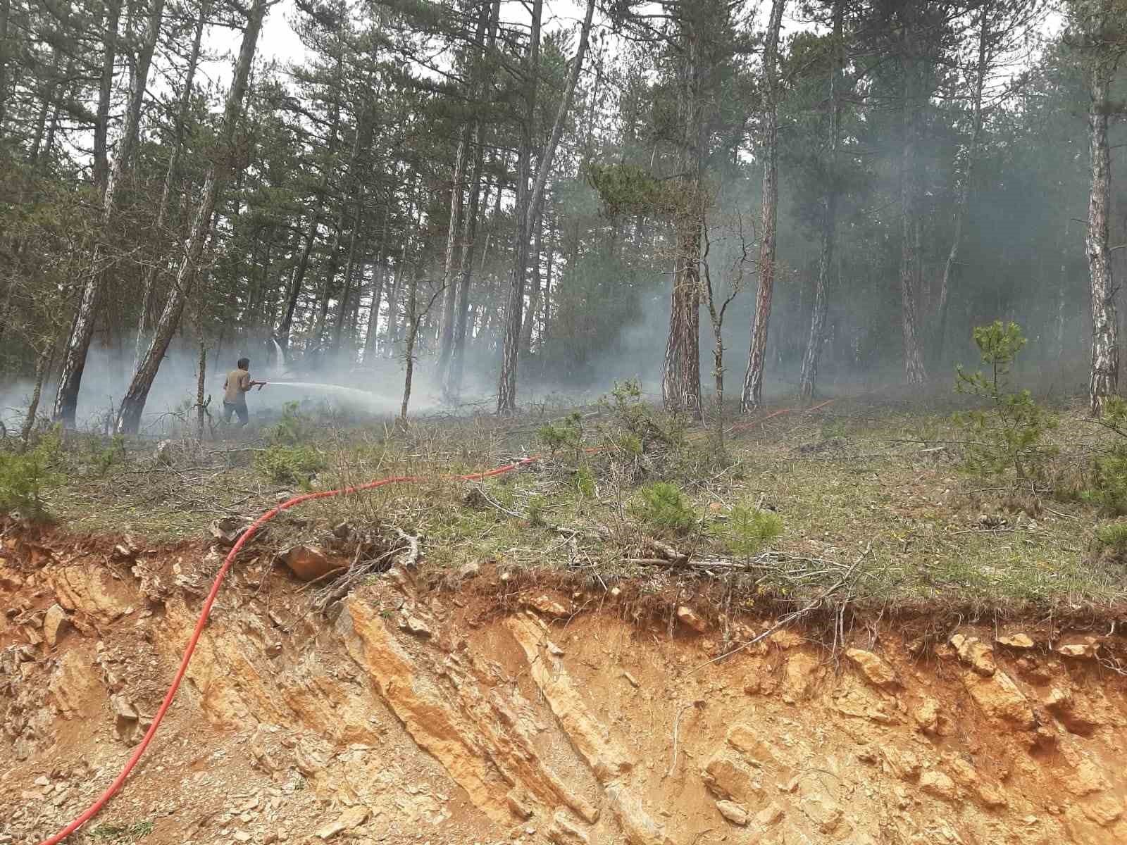 Örtü yangını büyümeden söndürüldü
