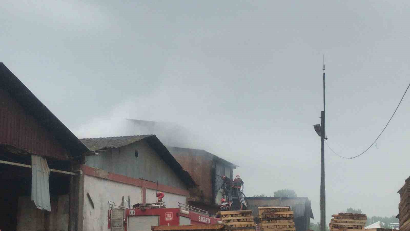Sakarya’da orman ürünleri fabrikasında korkutan yangın
