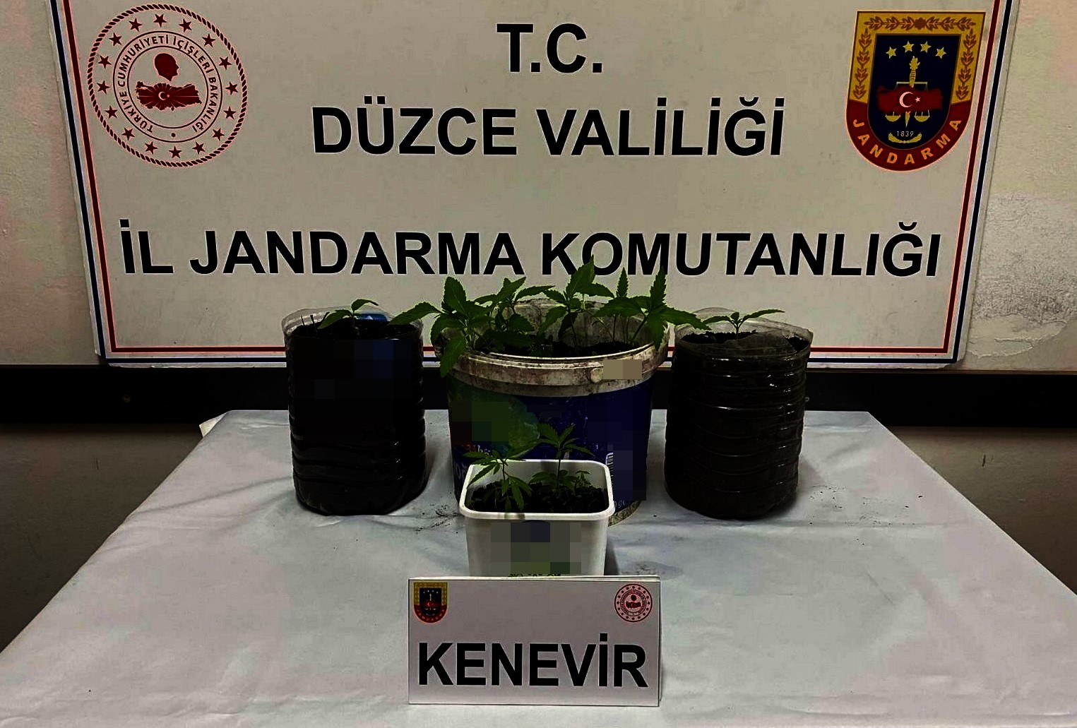 Saksıda uyuşturucu ele geçirildi
