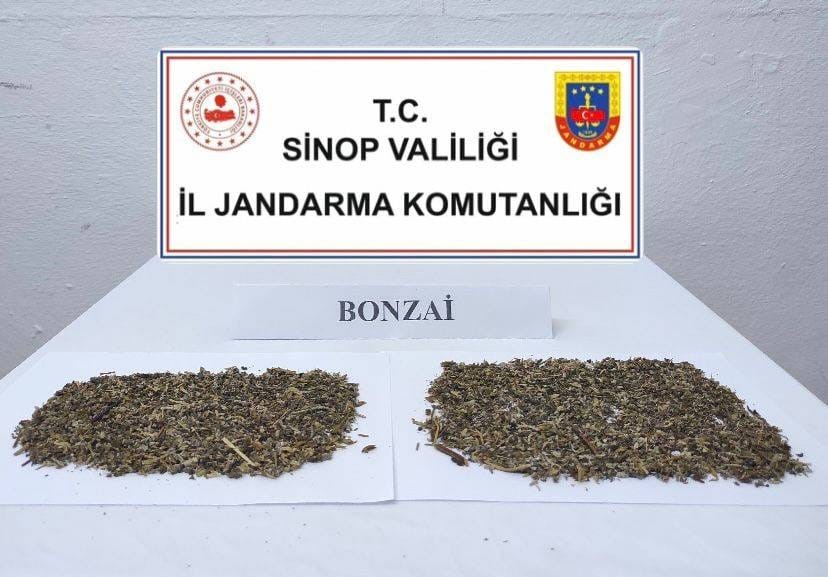 Sinop’ta 10 gram bonzai ele geçirildi