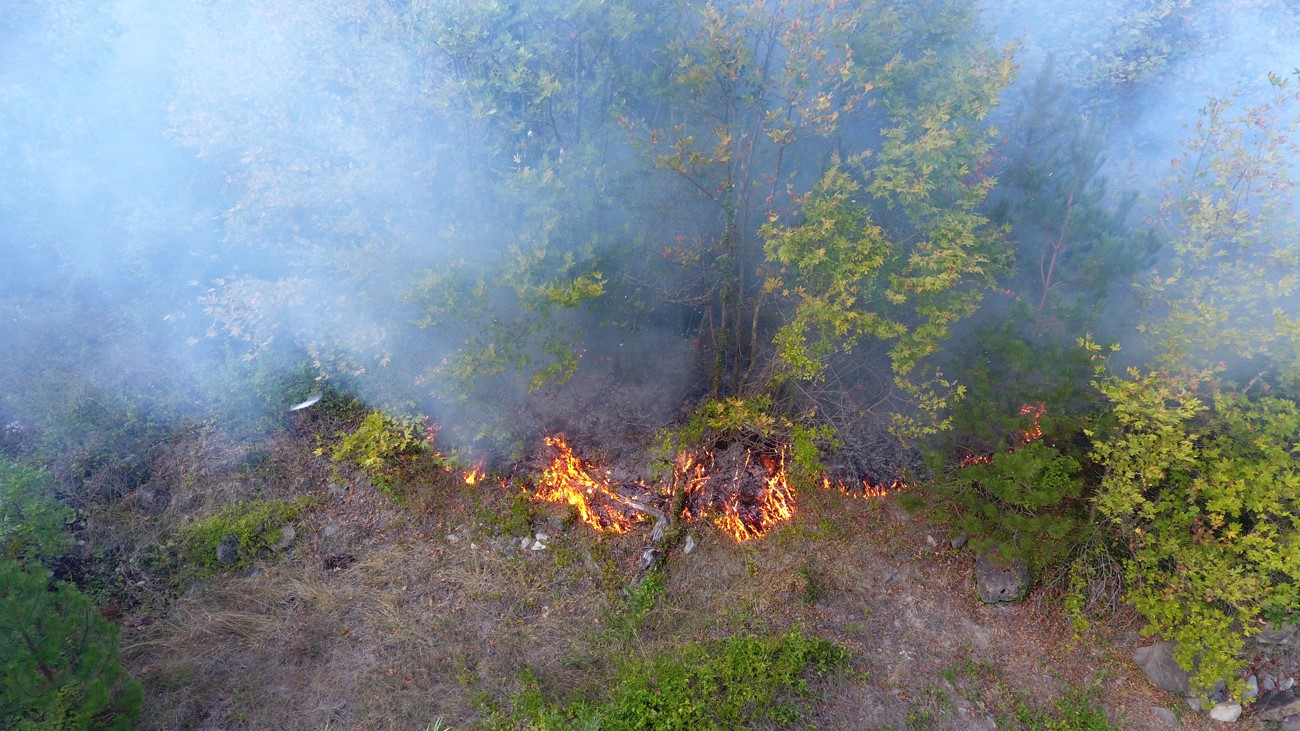 Sinop’ta çıkan yangında 5 dönüm arazi zarar gördü
