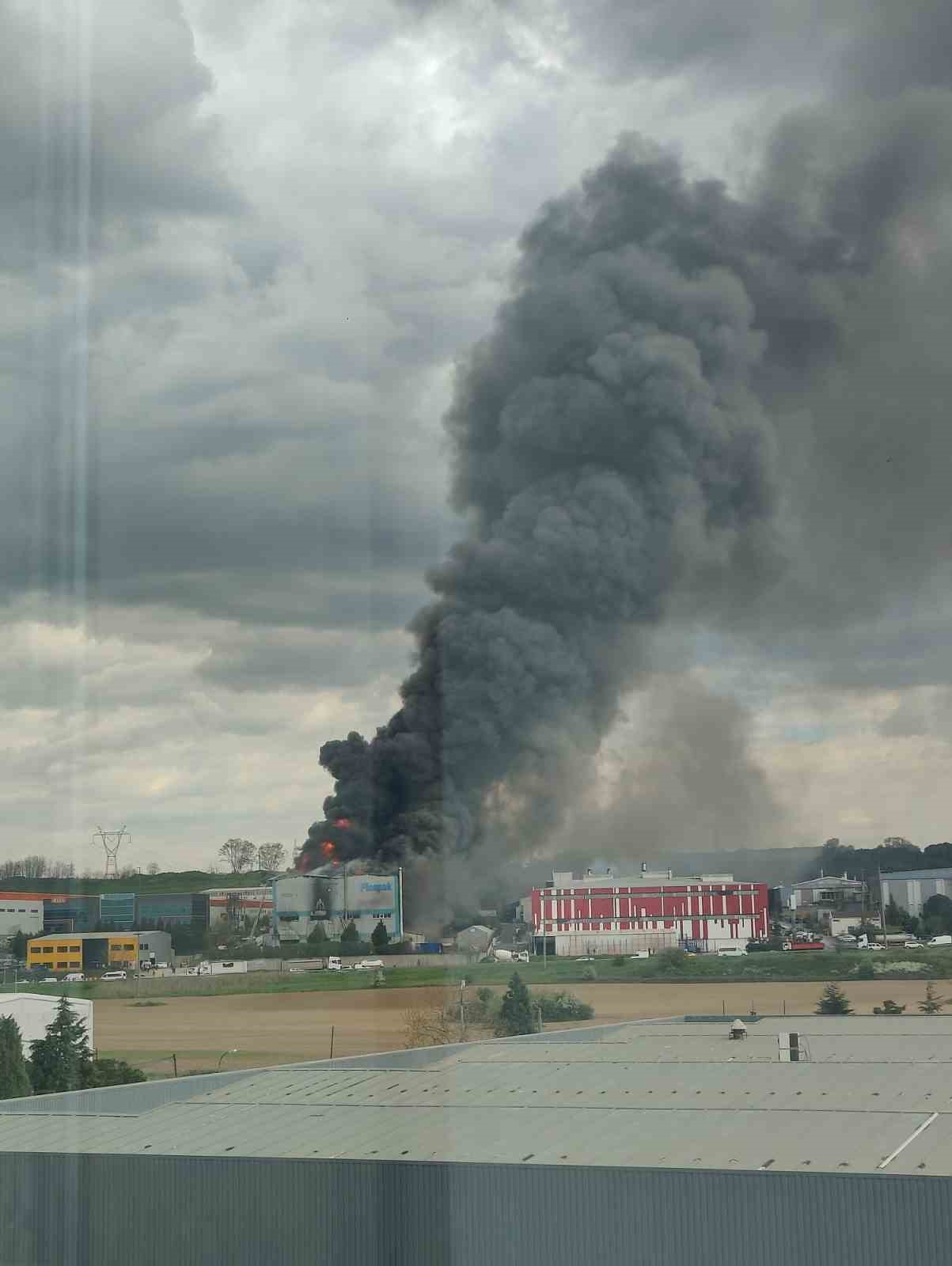 Tekirdağ’da fabrika yangını
