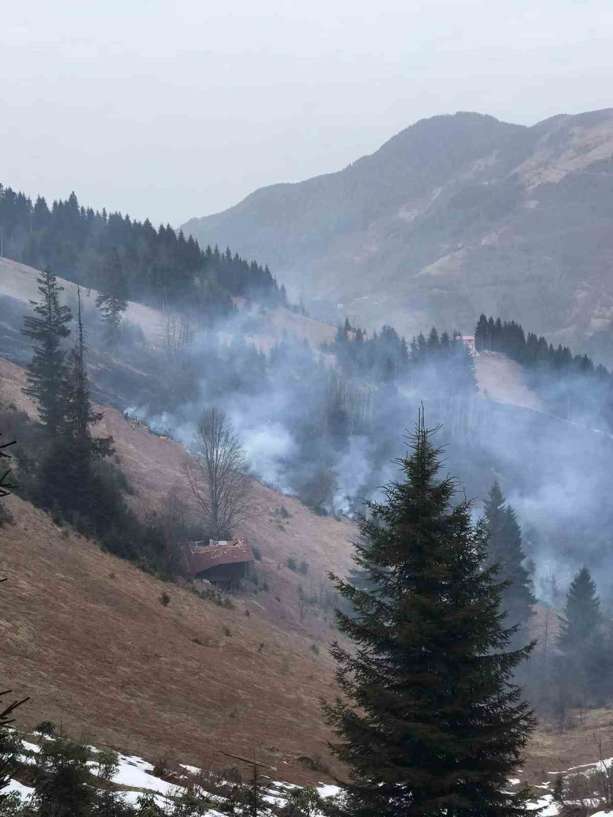Trabzon’da orman yangını
