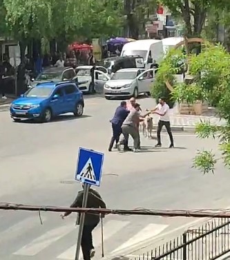 Tunceli’de havaya ateş açan şahıs, polis tarafından gözaltına alındı
