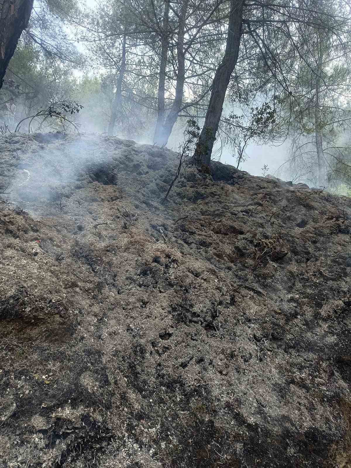 Yayladağı’nda ormanlık alanda çıkan yangın söndürüldü
