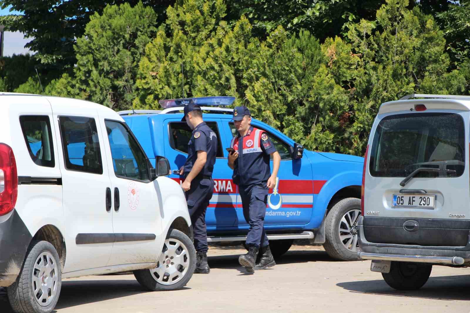 Amasya’da büyükbaş hayvana vahşet: 5 gözaltı