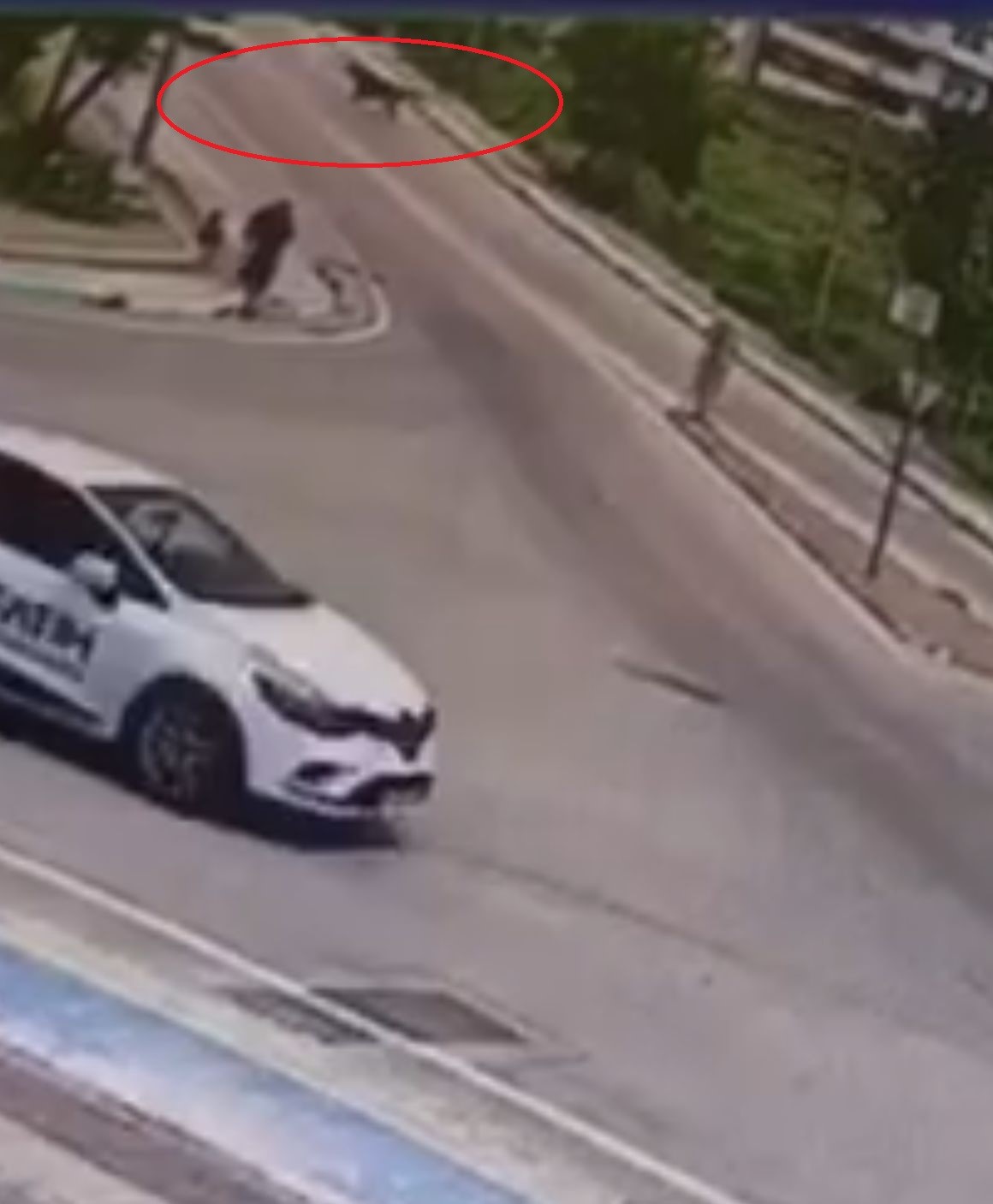 Bursa’da seyir halindeki otomobile at çarptı... O anlar kameraya yansıdı
