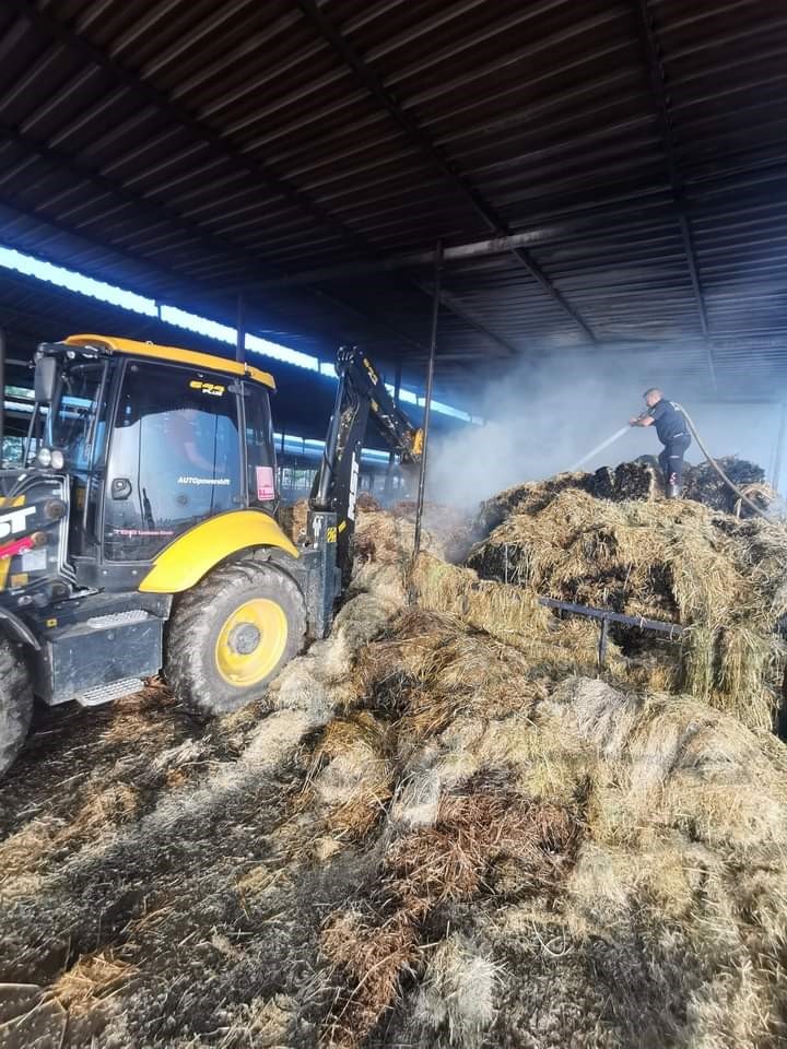 Ekiplerin hızlı müdahalesi 60 hayvanı kurtardı
