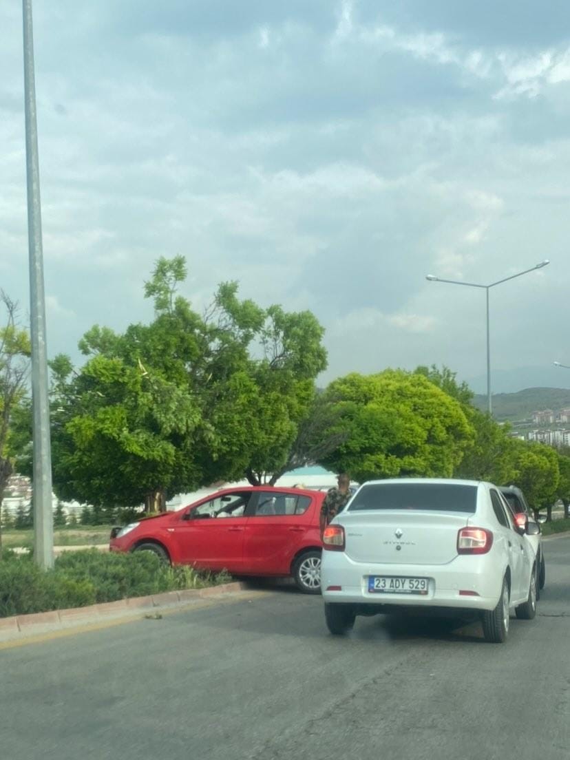 Elazığ’da otomobil ağaca çarptı: 3 yaralı
