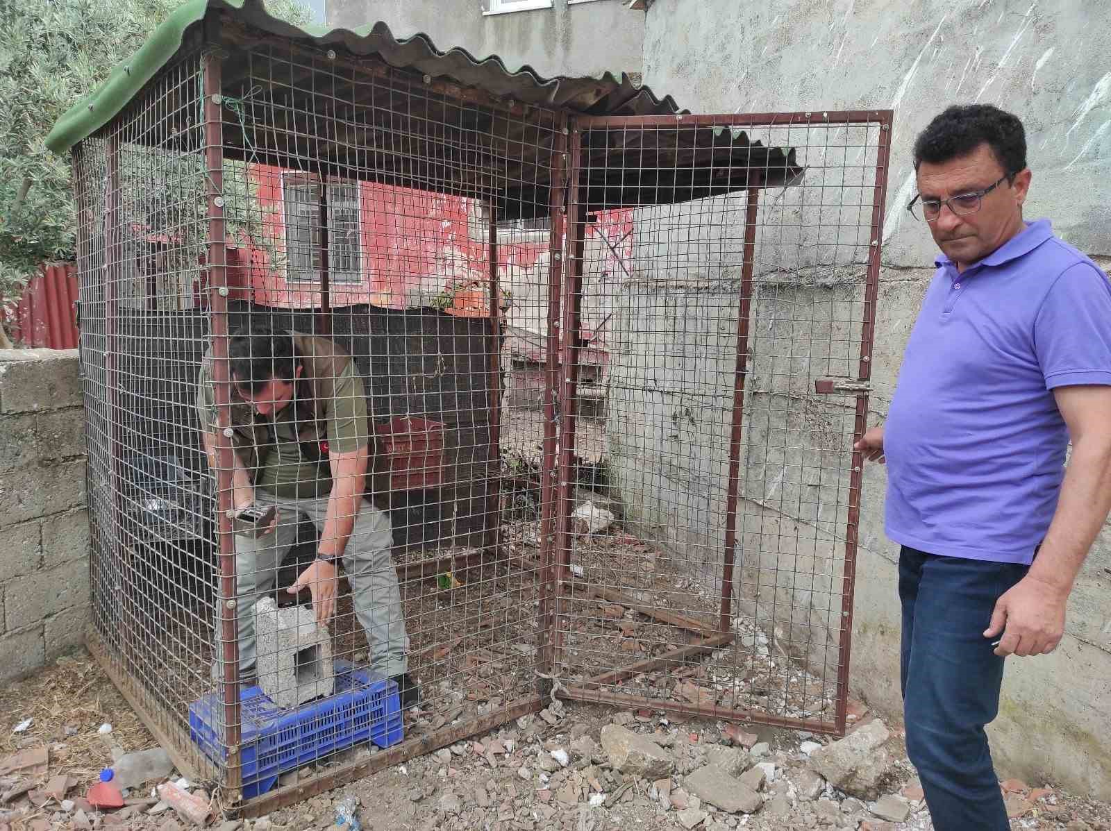 Fethiye’de piton yılanının bulunması için fotokapan kuruldu
