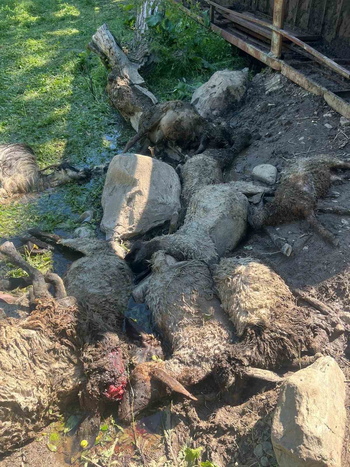 Kazada telef olan hayvanlar gömüldü
