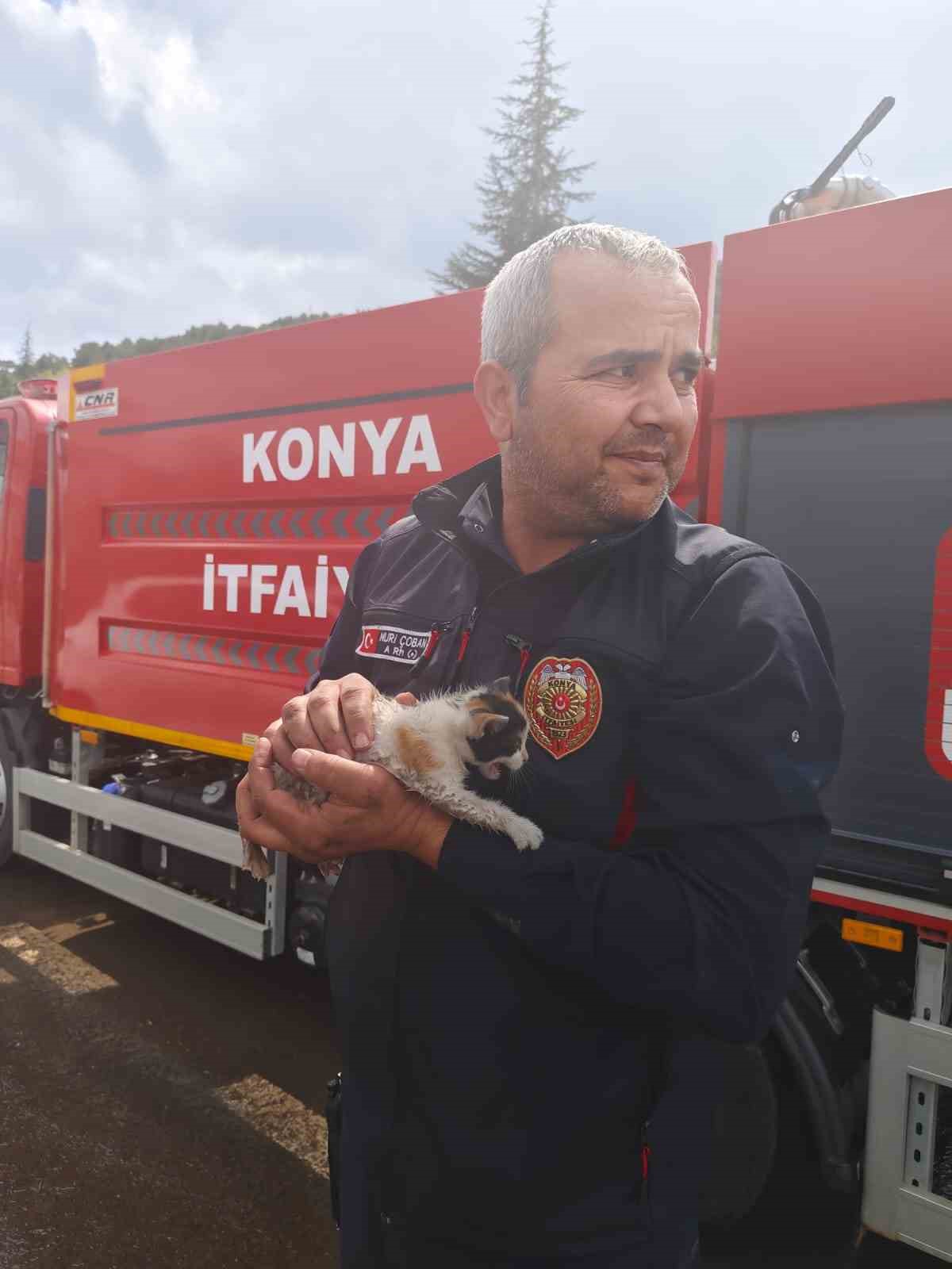 Konya’da otomobilin motoruna sıkışan kedi kurtarıldı