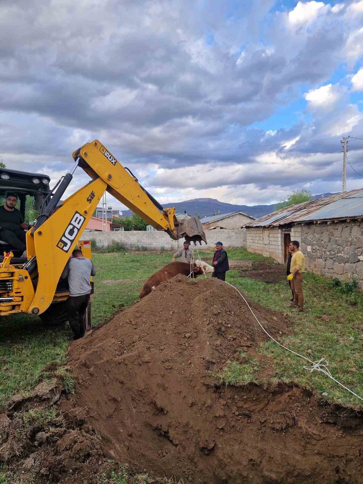 Kuyuya düşen inek kurtarıldı
