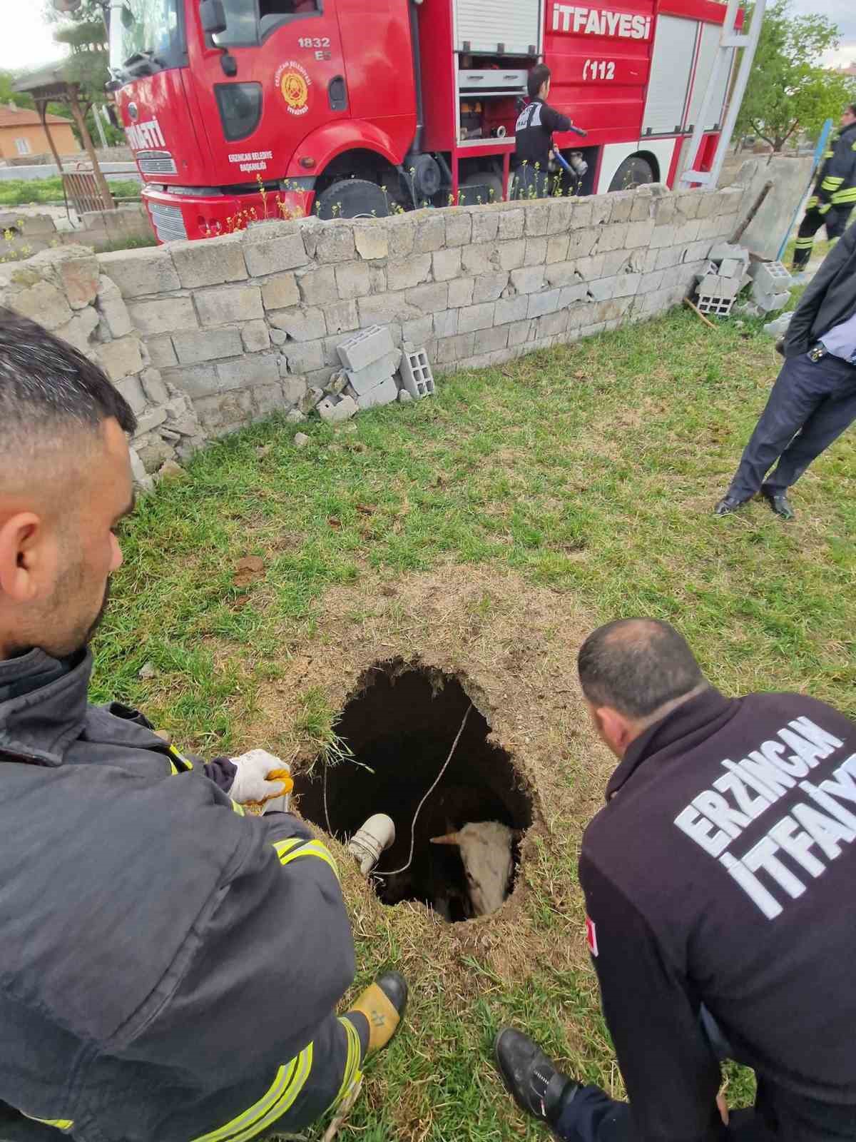 Kuyuya düşen inek kurtarıldı
