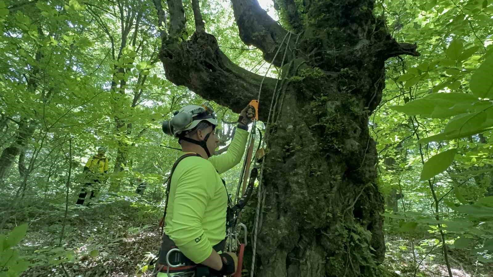 Tatbikat gereği kayboldular, kurtarma çalışması tüm gün sürdü
