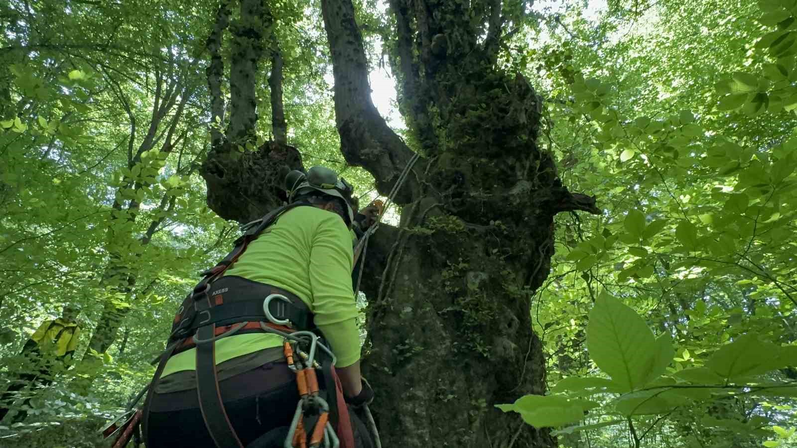 Tatbikat gereği kayboldular, kurtarma çalışması tüm gün sürdü
